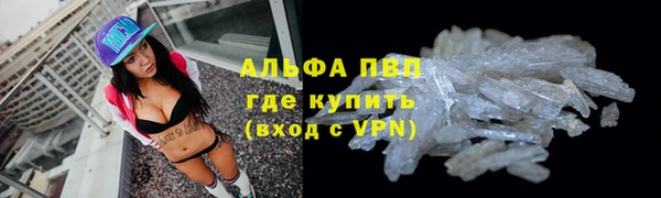 стаф Белоозёрский
