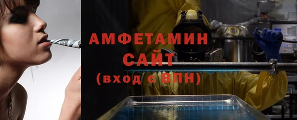 крисы Инта