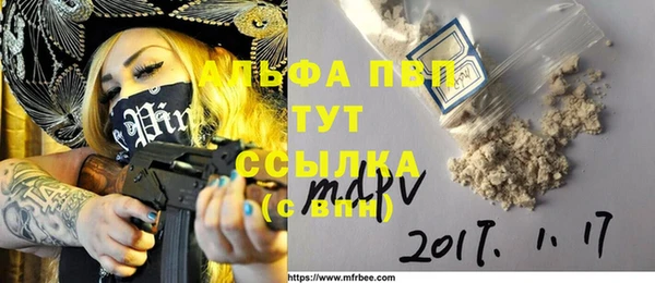 сатива Иннополис