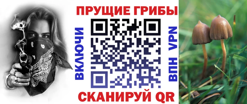 Галлюциногенные грибы прущие грибы  купить   Обь 